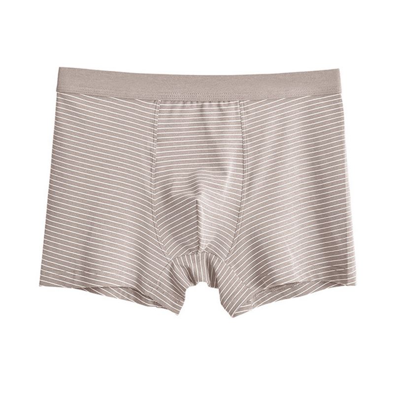 stripe boxer