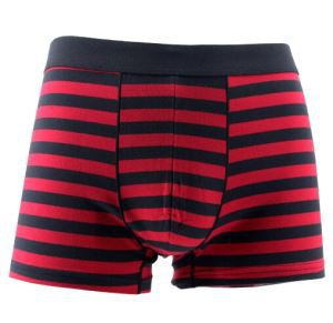Naturlige bløde følelser med stribet herre-boxere