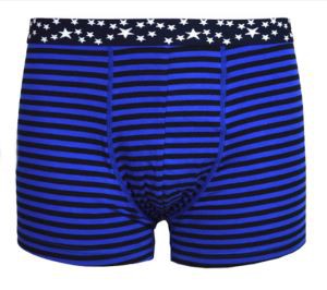 OEM Striped Blue herretøj